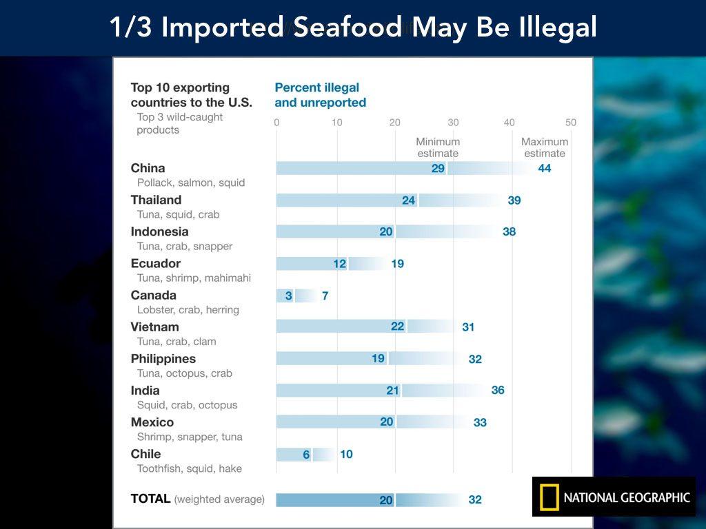 illegal-seafood