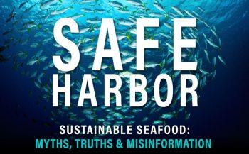 safe-harbor-graphic-for-blog