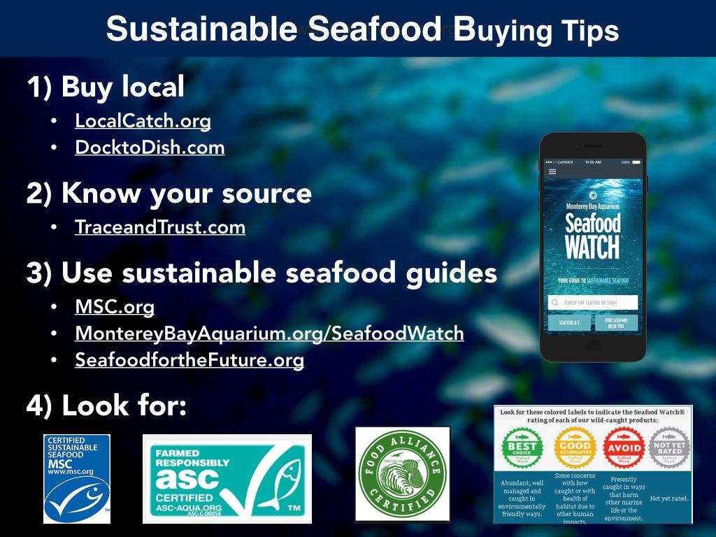 sustainable-seafood-buying-tips